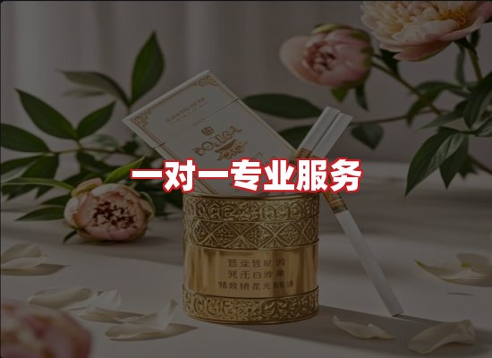 专业团队